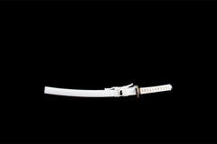 白金逆锋 katana product detail image 2 showing blade, saya, and fittings
