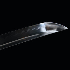 Small Sea Dragon T10 Steel Katana | NIMOFAN - 330872404061523