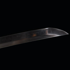 Little Dragon King Leaf Pattern T10 steel Katana | NIMOFAN - 940872407171603