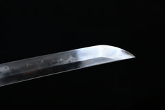 Zanryu Hitatsura T10 Steel Katana | NIMOFAN - 0510872402201455