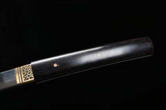 Dark Moon Iai T10 Steel Wakizashi | NIMOFAN - 040872402241469