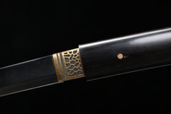 Dark Moon Iai T10 Steel Wakizashi | NIMOFAN - 040872402241469