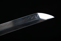 Dark Moon Iai T10 Steel Wakizashi | NIMOFAN - 040872402241469