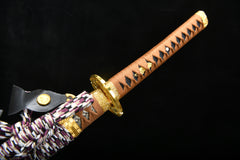 Dragon Warrior Tachi Mountings 1060 Steel Katana | NIMOFAN - 020872403251517
