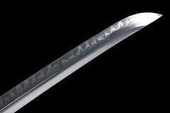 Dragonfly T10 Clay Tempered Hamon Katana - 裂敌