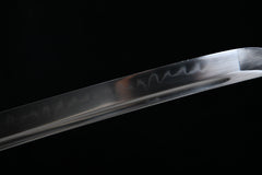 Golden Lion T10 Steel Katana | NIMOFAN - 620872402231458