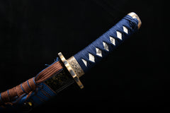 Openwork Sea Dragon T10 Steel Tanto | NIMOFAN - 620872403011486