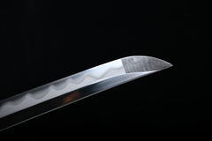 Plum Blossom Silver Dragon T10 Steel Katana | NIMOFAN - 530872403081487