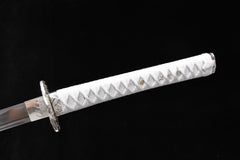 Silver Sea Dragon Kyomen Finish Steel Katana | NIMOFAN - 020872407171610