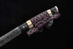 Daisy Samegawa Tachi Mountings T10 steel Katana | NIMOFAN - 370872406021582
