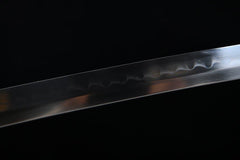 Katana - Azure Dragon 青龍 せいりゅう - Katana - 28 Inch katana - 9