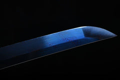 Katana - Dragon Glory 盘龙 ぱんろん - Katana - 28 Inch katana - 8