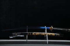 Katana - Dragon Glory 盘龙 ぱんろん - Katana - 28 Inch katana - 2