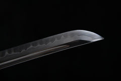Katana - Dragon in the Clouds 雲中の龍 - Katana - 28 Inch katana - 10