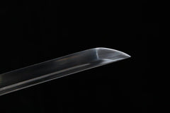 Katana - Golden Serpent 黄金のへび蛇です - Katana - 28 Inch katana - 10