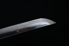 Katana - Mizu Ryu 水龙 みずりゅう - Katana - 28 Inch katana - 9