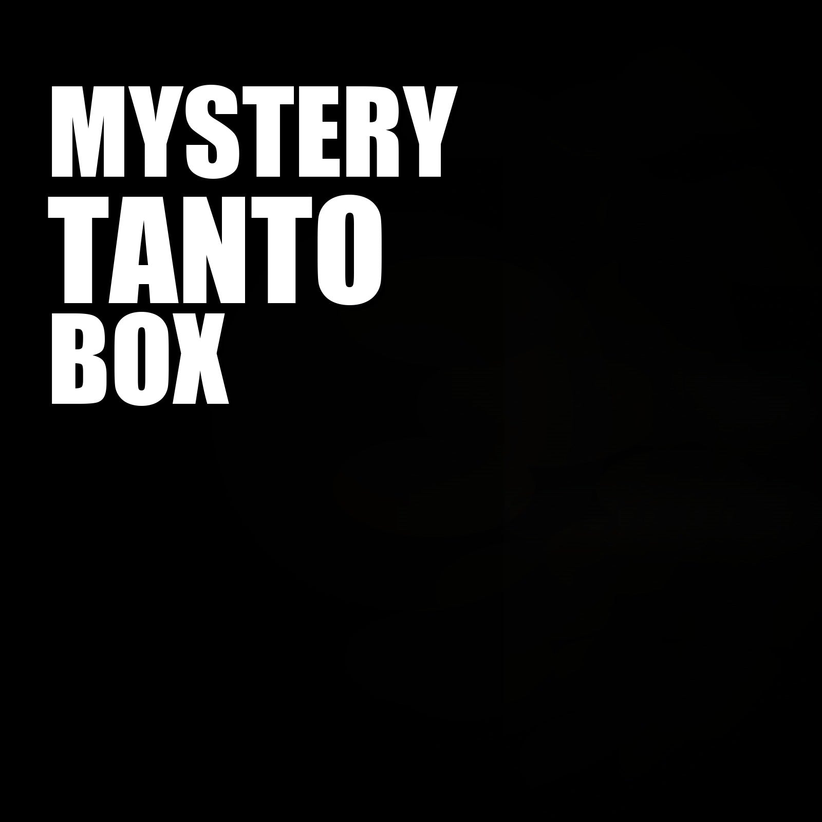 Mystery Tanto Box - Surprise Short Blade Blind Box - mystery sword box card image