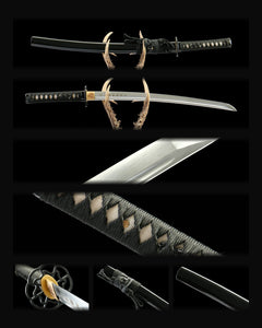 aug30-06-wakizashi composite card