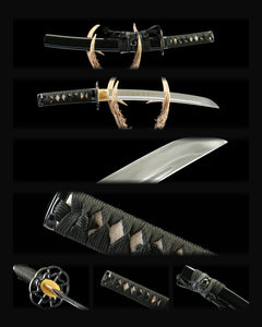 aug30-37-wakizashi composite card