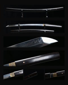wakizashi-dark-moon-iai-t10-steel composite card