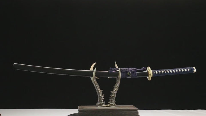 湛蓝金芒 product demonstration video