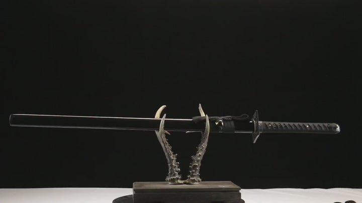 隐芒 product demonstration video