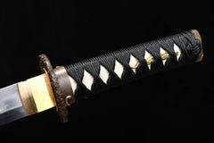 Wakizashi - Cloud Dragon 雲龍うんりゅう - Wakizashi - 28 Inch katana - 5