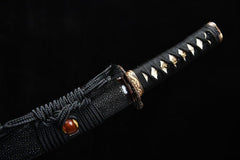 Wakizashi - Cloud Dragon 雲龍うんりゅう - Wakizashi - 28 Inch katana - 4
